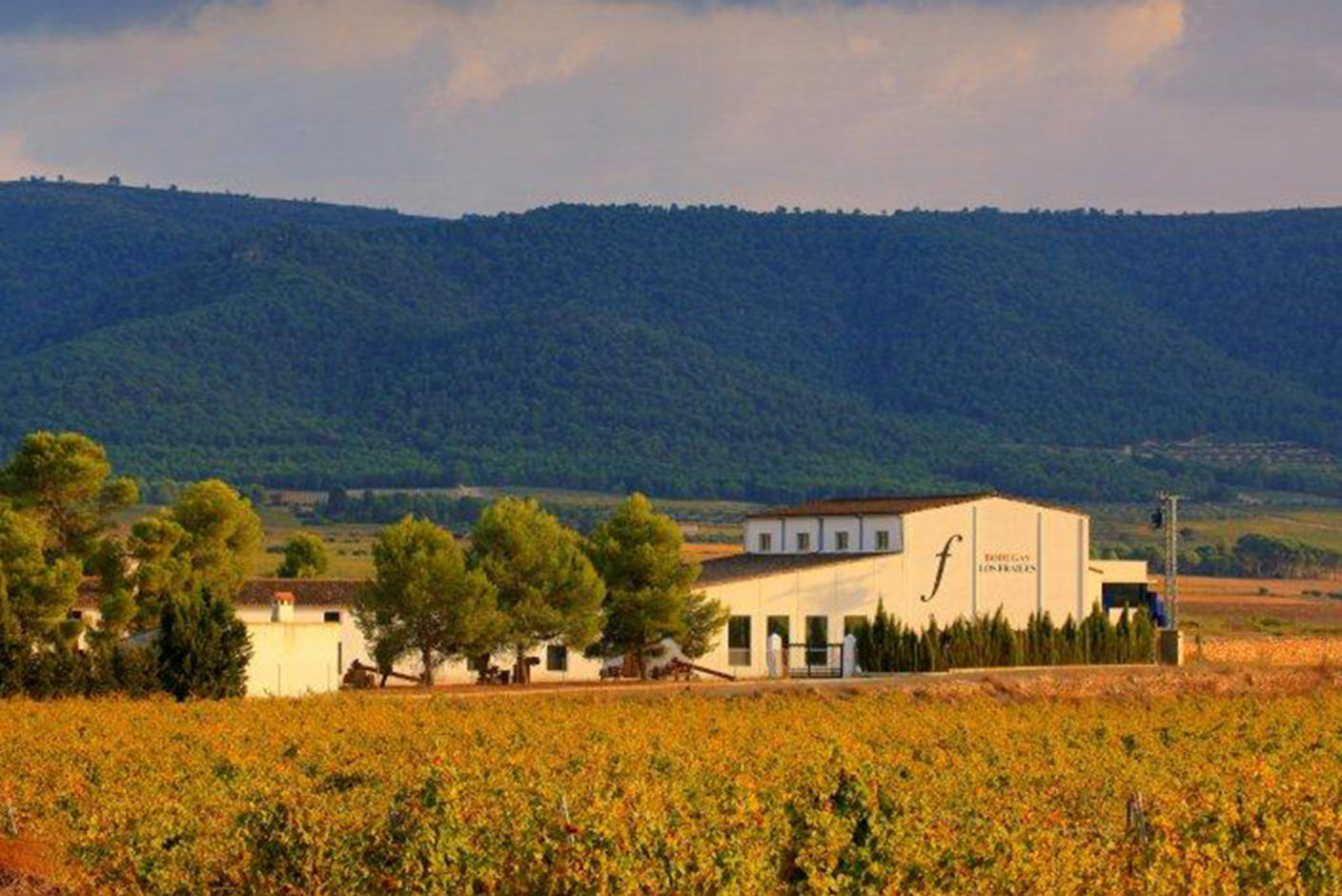 Fotografía de una bodega en la entrada enoturismo visitando bodegas