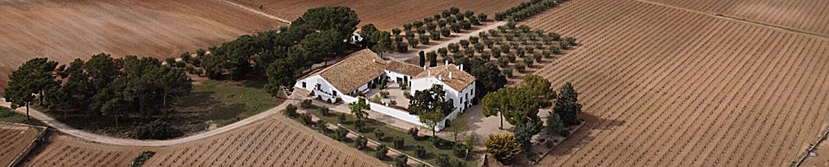 Fotografía de una bodega en la entrada enoturismo visitando bodegas