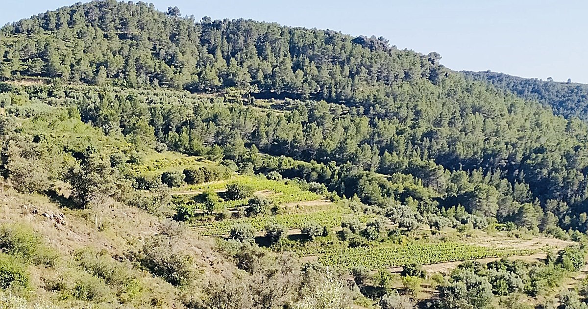 Fotografía de una bodega en la entrada enoturismo visitando bodegas